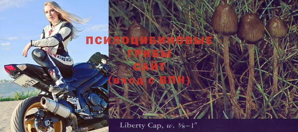стафф Лагань