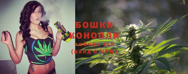 стафф Лагань