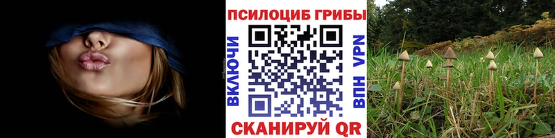 где продают наркотики  кракен онион  Псилоцибиновые грибы ЛСД  Северодвинск 