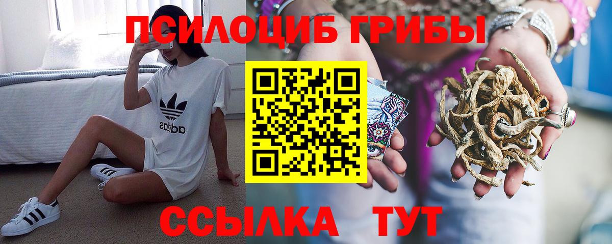 Северодвинск  Псилоцибиновые грибы MAGIC MUSHROOMS  Вход с VPN 